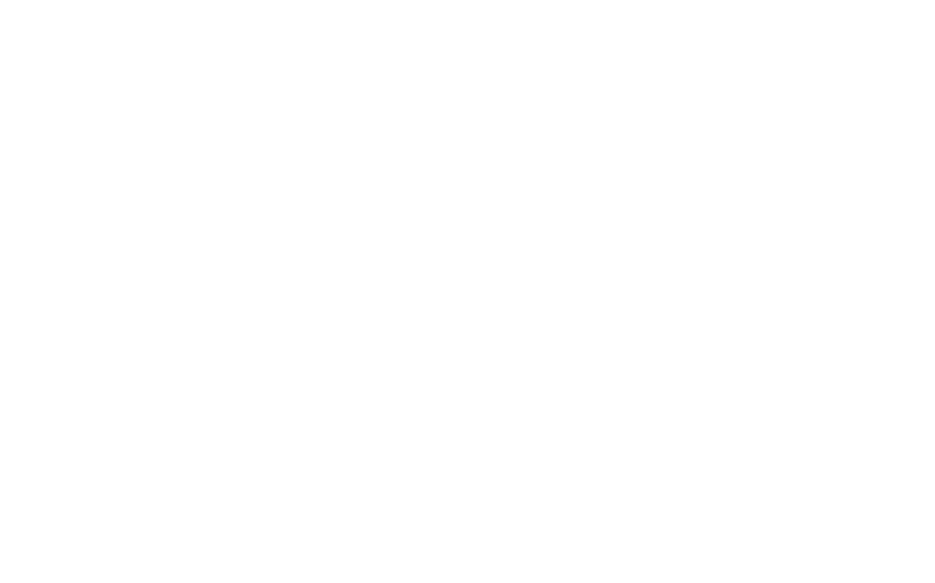 Peak Property Cleanouts logo