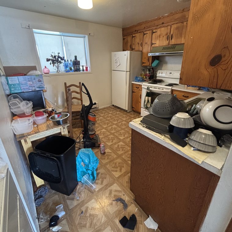Kitchen cleanout before — cluttered