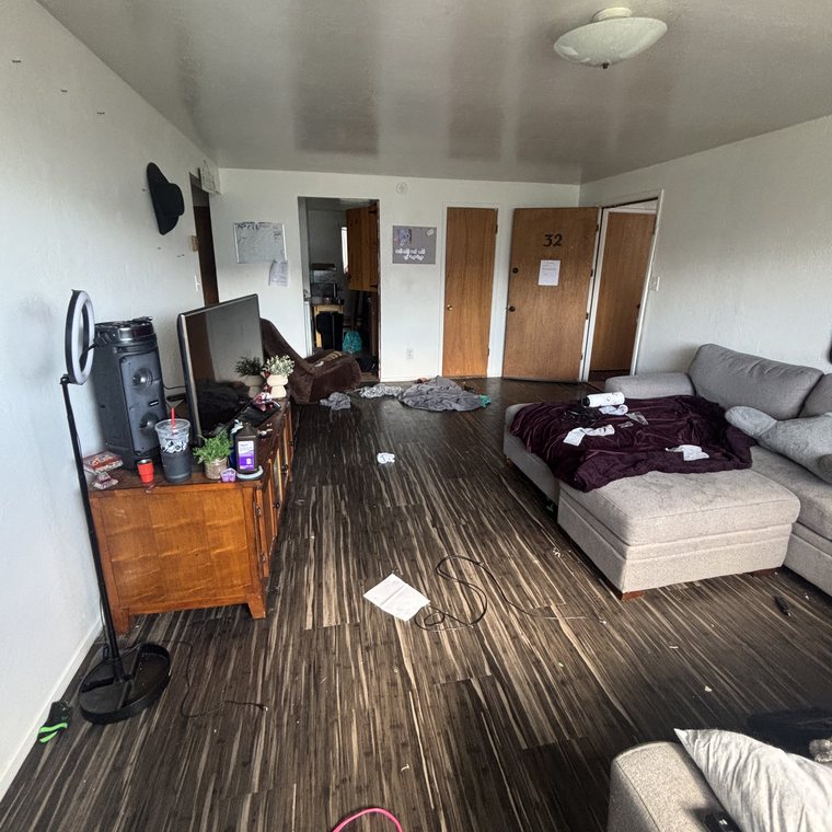 Living room cleanout before — furniture and clutter